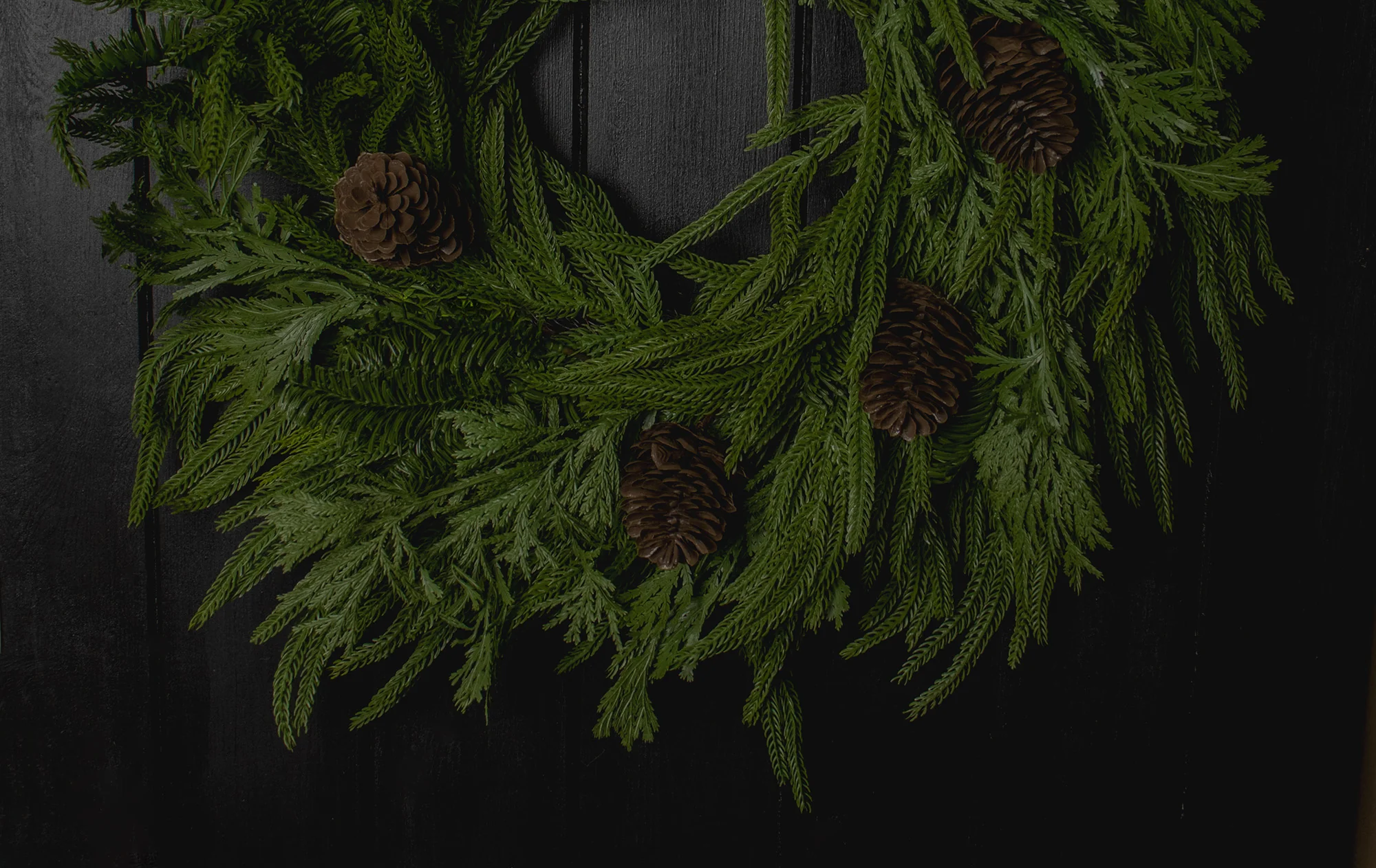 The Evergreen - Image 3